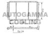 CITRO 1330L4 Radiator, engine cooling